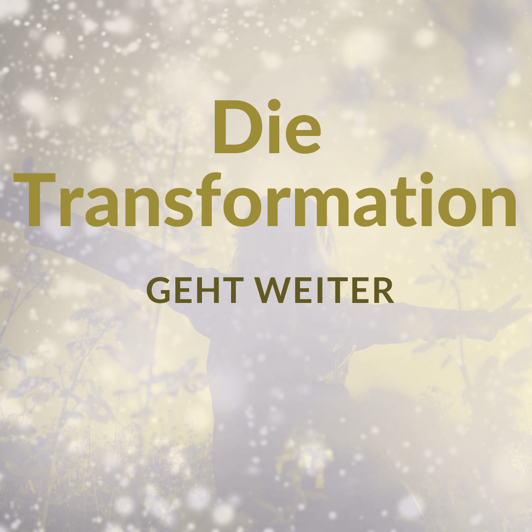 Die Transformation geht weiter.