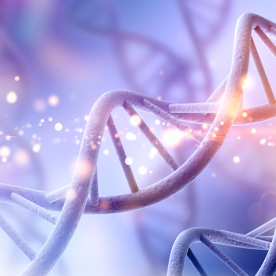 DNA-Strang als Symbol für persönliche Entwicklung und Transformation im ThetaHealing® Basis DNA Seminar